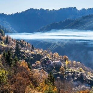 Ο τόπος μου, το Πετρίλο Αργιθέας
