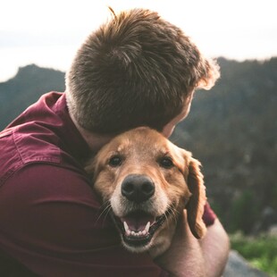 Τι μπορούν να μας διδάξουν τα golden retriever για τον καρκίνο;