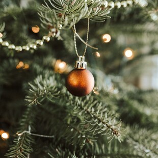 Ο λόγος που ένας παιδικός σταθμός στο Αμβούργο αποφάσισε να μην στολίσει χριστουγεννιάτικο δέντρο