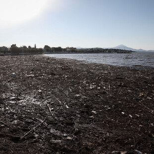 Κάρυστος: Βρέθηκαν ανθρώπινα οστά σε παραλία