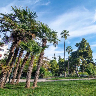 Το πάρκο Δρακόπουλου παραδίδεται αναβαθμισμένο και φωτεινό στη γειτονιά