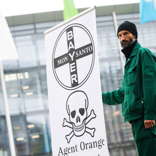 Monsanto: Πρόστιμο 857 εκατ. δολαρίων για την έκθεση πολιτών σε «αιώνια» χημικά