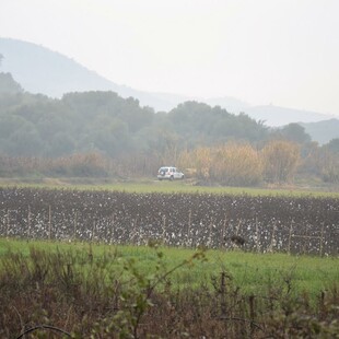 Εξαφάνιση 31χρονου- Μεσολόγγι: Ο κρεοπώλης δεν είχε αφήσει το κινητό του σπίτι - Νέα στοιχεία