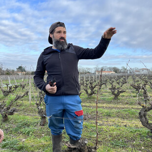 Διονυσιακά δρώμενα στην κοιλάδα του Λίγηρα