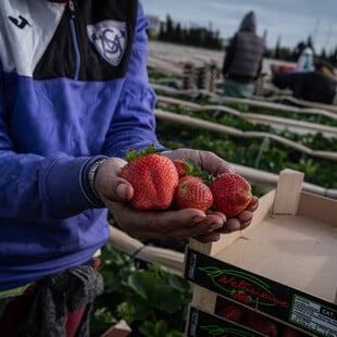 Η Ελλάδα χρειάζεται κι άλλους μετανάστες 