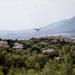 Πεντέλη: Ο δήμος αποχωρεί από τον ΣΠΑΠ για το Πεντελικό