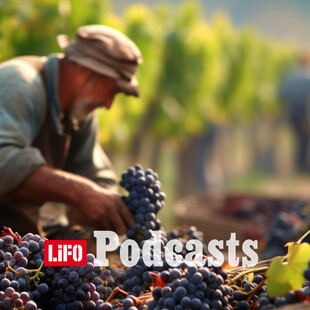 Νίκος Μάνεσης: «Καλό κρασί φτιάχνουν οι οινοποιοί που όταν τους παίρνεις τηλέφωνο τούς βρίσκεις στο αμπέλι»