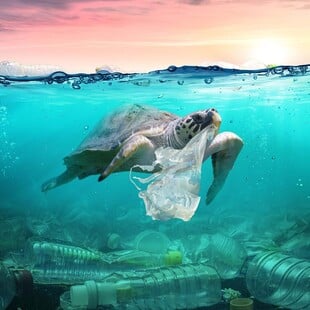 Ρύπανση από πλαστικά: Δυσανάλογη παρουσία του λόμπι πετρελαίου στη σύνοδο του Καναδά, καταγγέλλουν ΜΚΟ 