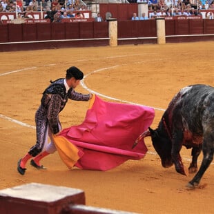 Η Ισπανία καταργεί το Εθνικό Βραβείο Ταυρομαχίας