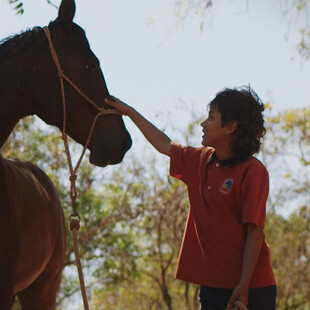 Πώς τα άλογα βοηθούν στην επίλυση του παιδικού τραύματος