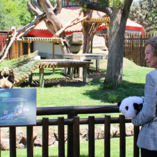 Ισπανία: Η τέως βασίλισσα Σοφία καλωσόρισε τα δύο νέα πάντα του ζωολογικού κήπου της Μαδρίτης