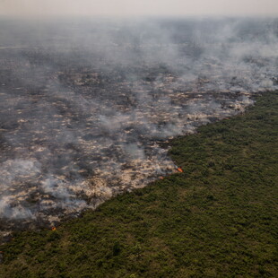 Βραζιλία: Οι καταστροφικές φωτιές απειλούν τον μεγαλύτερο τροπικό υγρότοπο στον κόσμο