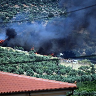 Φωτιά τώρα στο Σχιστό Κορυδαλλού