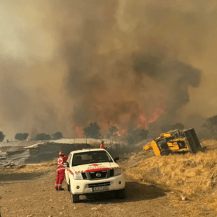 Φωτιές: Μάχη για τις φλόγες στη Ροδόπη- Καλύτερη εικόνα στις υπόλοιπες περιοχές