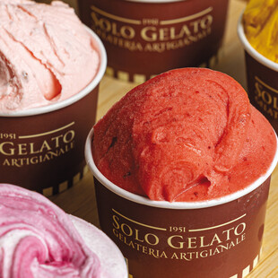Solo Gelato