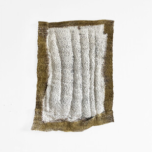 Care Ecologies