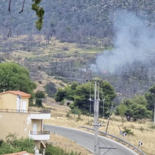 Φωτιά στα Βίλλια Αττικής