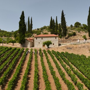 Κτήμα Μέγα Σπήλαιο/Οινοτουρισμός Μοναδικός προορισμός/ Σπάνια οινική εμπειρία