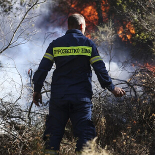 Υπό έλεγχο η φωτιά στα Σβορωνάτα Κεφαλονιάς