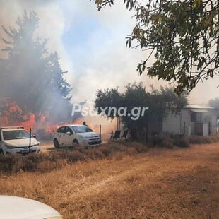 Φωτιά τώρα στην Εύβοια: 112 για την Ερέτρια