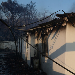 Φωτιά στην Αττική: Ολοκληρώθηκε η πρώτη φάση αυτοψιών - 146 ακατάλληλες για χρήση κατοικίες