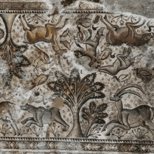 Τούρκος αγρότης ανακάλυψε βυζαντινό μωσαϊκό καθώς φύτευε δέντρα