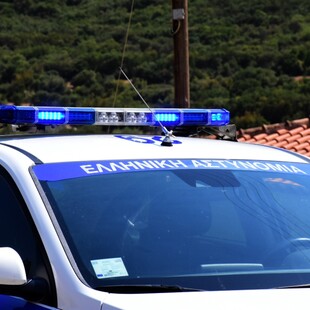 Βόλος: Συνελήφθη ο άντρας που σκότωνε αδέσποτα ζώα κατά συρροή