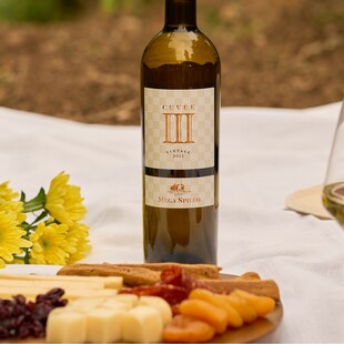 Cuvee III Μέγα Σπήλαιο: Ένα εκρηκτικό blend από τους χαρισματικούς αμπελώνες της ορεινής Αιγιάλειας