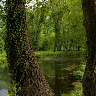 Μόνο το ένα τρίτο των επιφανειακών υδάτων της Ευρώπης είναι καλό, σύμφωνα με μελέτη