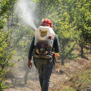 Le Monde: Το φυτοφάρμακο flufenacet έχει μολύνει το νερό στη Γαλλία και την υπόλοιπη Ευρώπη