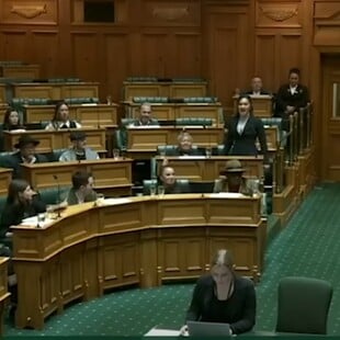 Νέα Ζηλανδία: Βουλευτής έκανε χάκα στο κοινοβούλιο - Και την ακολούθησαν κι άλλοι
