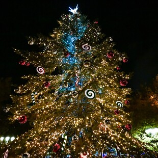 Φωταγωγήθηκε το χριστουγεννιάτικο δέντρο στο Σύνταγμα - Η Αθήνα «φόρεσε» τα γιορτινά της