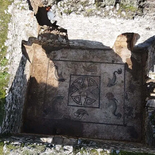 Μωσαϊκό με κροκόδειλους, φλαμίνγκο και δελφίνια ανακαλύφθηκε στην Ηράκλεια επί Λάτμον στη Μικρά Ασία