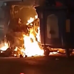 Ψαχνά: Έβαλαν φωτιά σε κάδο που είχε μέσα κουτάβια