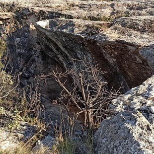 Γυναίκα εντοπίστηκε νεκρή έξω από σπηλιά στο κοιμητήριο Βούλας