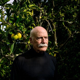 Τομπάιας Γουλφ: «Το παλιό σχολείο»