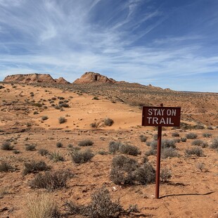 Arizona