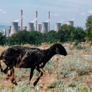 Τι εμποδίζει τις χώρες να καταργήσουν σταδιακά τα ορυκτά καύσιμα