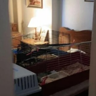 Εξάρχεια: «Είχε μπει στο σπίτι το Υγειονομικό και δεν έκανε τίποτα»