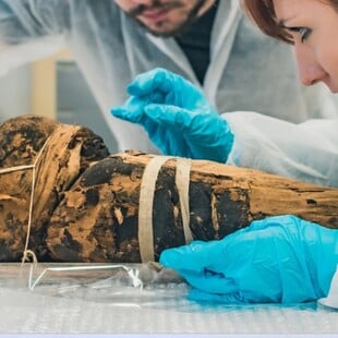 Μούμια που θεωρείτο πρώτα ιερέας και μετά καρκινοπαθής εγκυμονούσα, δεν ήταν τελικά τίποτα από τα δύο