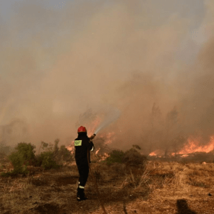 Φωτιά στην Κάρυστο: Ήχησε το 112 στους κατοίκους των Καλλιανών