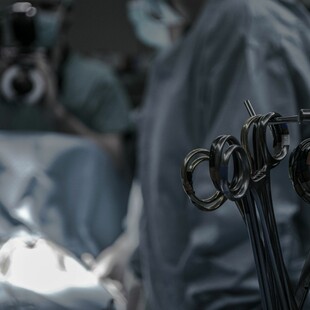 Πώς πραγματοποιήθηκε η πρώτη μεταμόσχευση ήπατος από χοίρο σε άνθρωπο στην ιστορία
