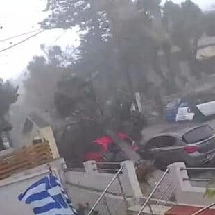 Ρόδος: Η στιγμή που ανεμοστρόβιλος ξεριζώνει δέντρο λόγω της σφοδρής κακοκαιρίας