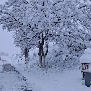 Στα «λευκά» η Βόρεια Ελλάδα - Χιόνια σε Φλώρινα, Κοζάνη, Κιλκίς και Θεσσαλονίκη