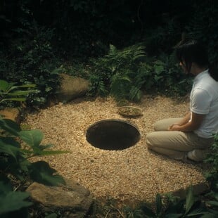 Pentatarmex Rabitular