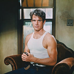 Warren Beatty 