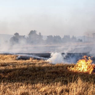 Φωτιά στην Ανατολή Αγιάς: Κάτοικος έκαιγε ξερά χόρτα