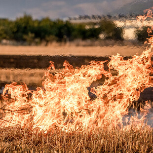 Καπνοί από πυρκαγιά απειλούν τον Βοτανικό - Μήνυμα από το 112