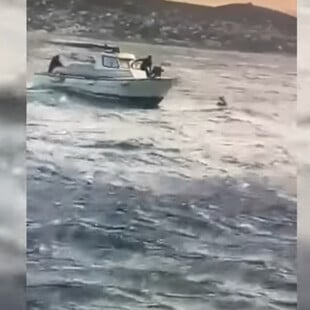 Αρτέμιδα: Έκαναν kite surf παρά την κακοκαιρία - Βίντεο από τη στιγμή της διάσωσης από το Λιμενικό