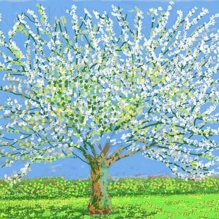 David Hockney: «Τα καλά νέα είναι ότι ήρθε η άνοιξη»